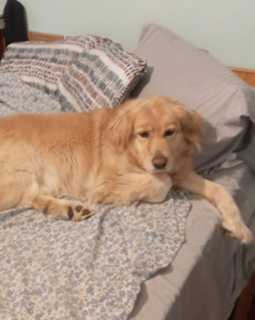 Macie Russell Profile Photo