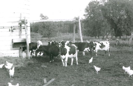 Wilfred Henry Hentges photo 6