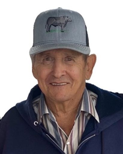 Henry Romero's obituary image