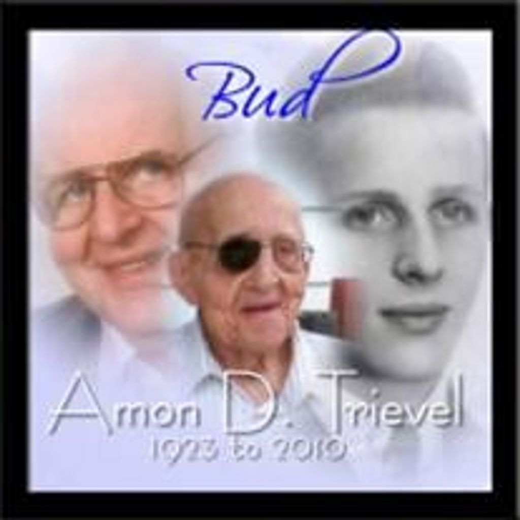 Amon D. Trievel