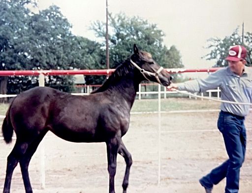 Jimmy R. Coffman photo gallery thumbnail 75 of 103