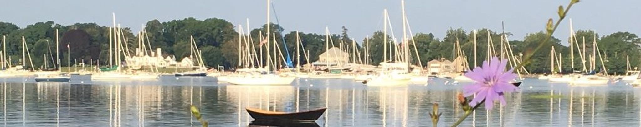 Cover for Joyce C. (Werren) Robinson's Obituary