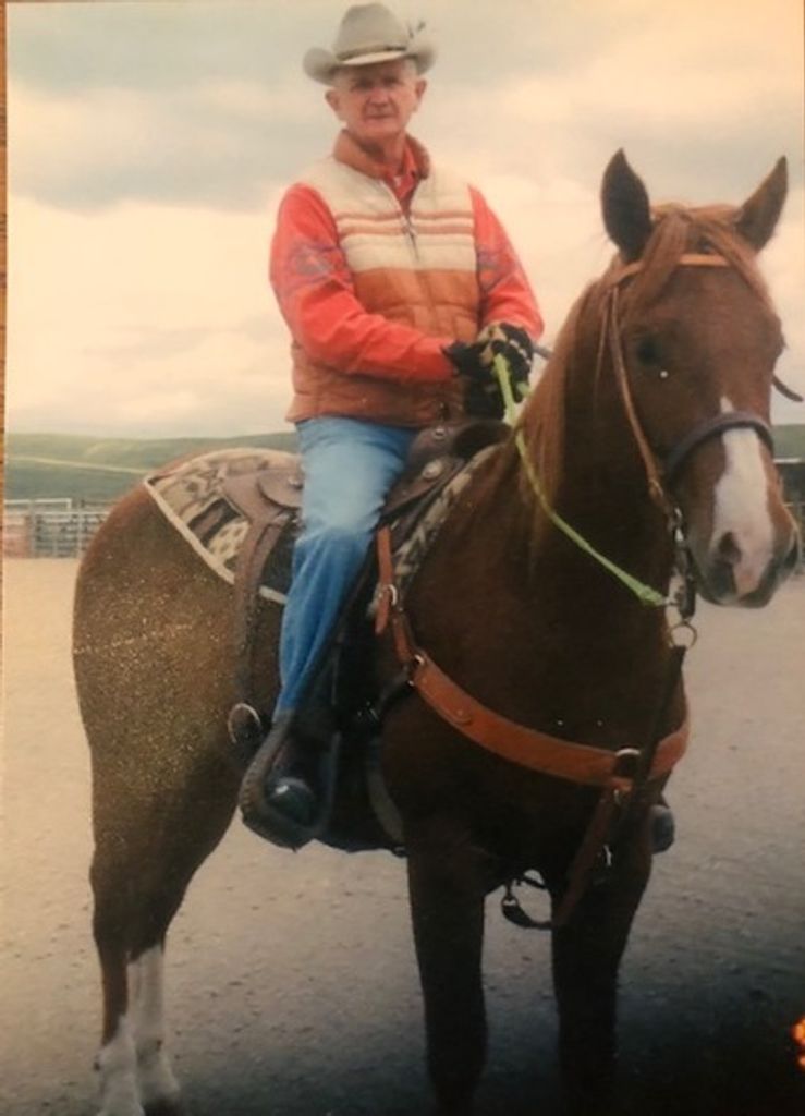Ted Reinwald Profile Photo