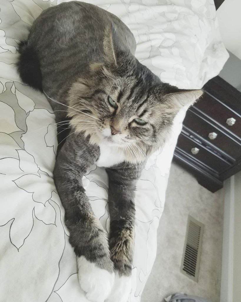 Bender