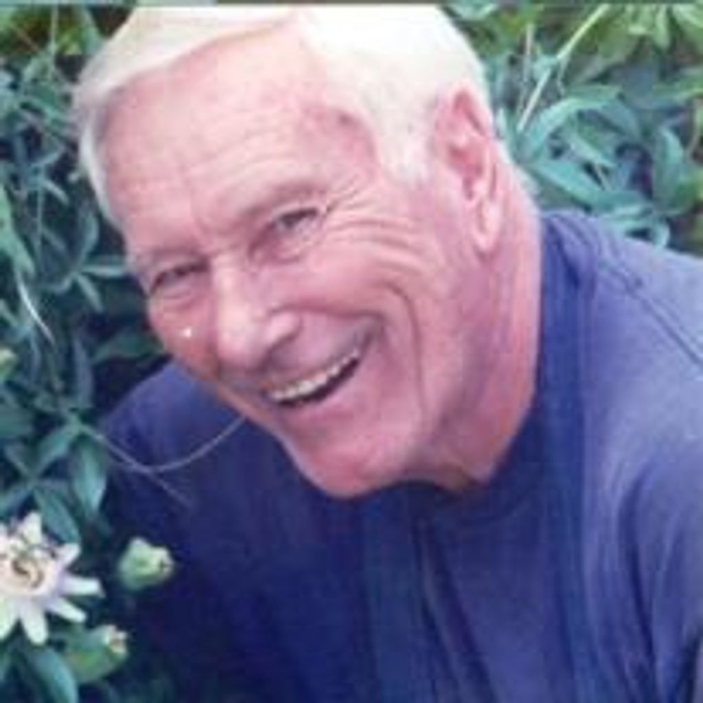 Harry Paul Dronet