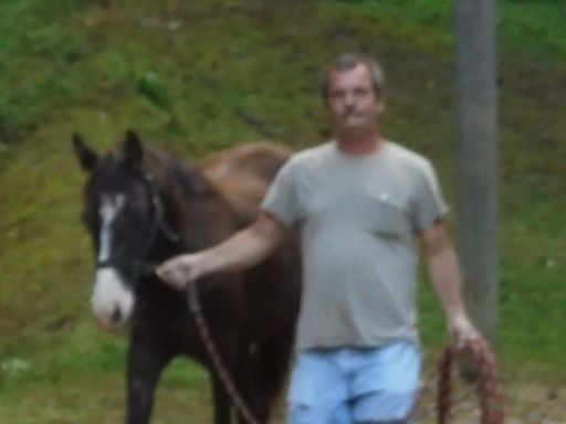 Stephen Gray Profile Photo