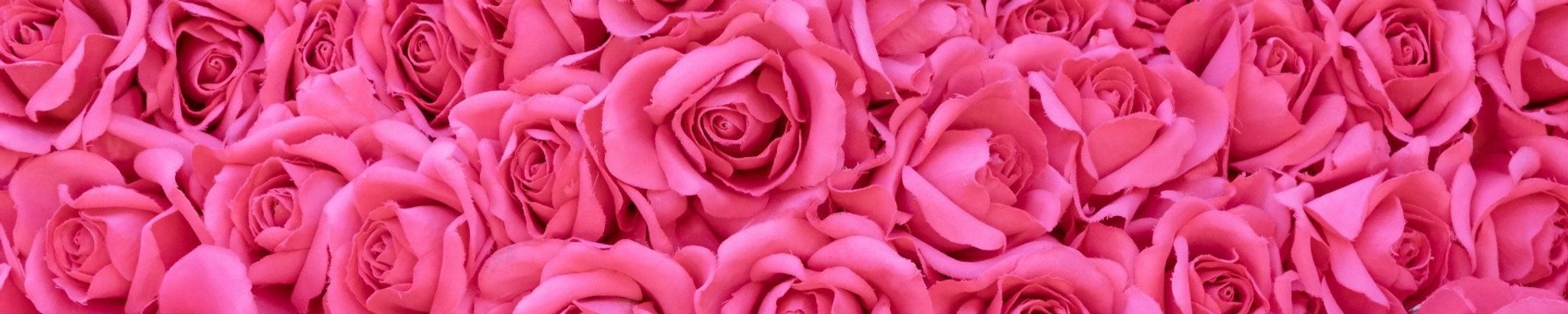 Cover for Shirley Lynn (Daggett) Gray's Obituary