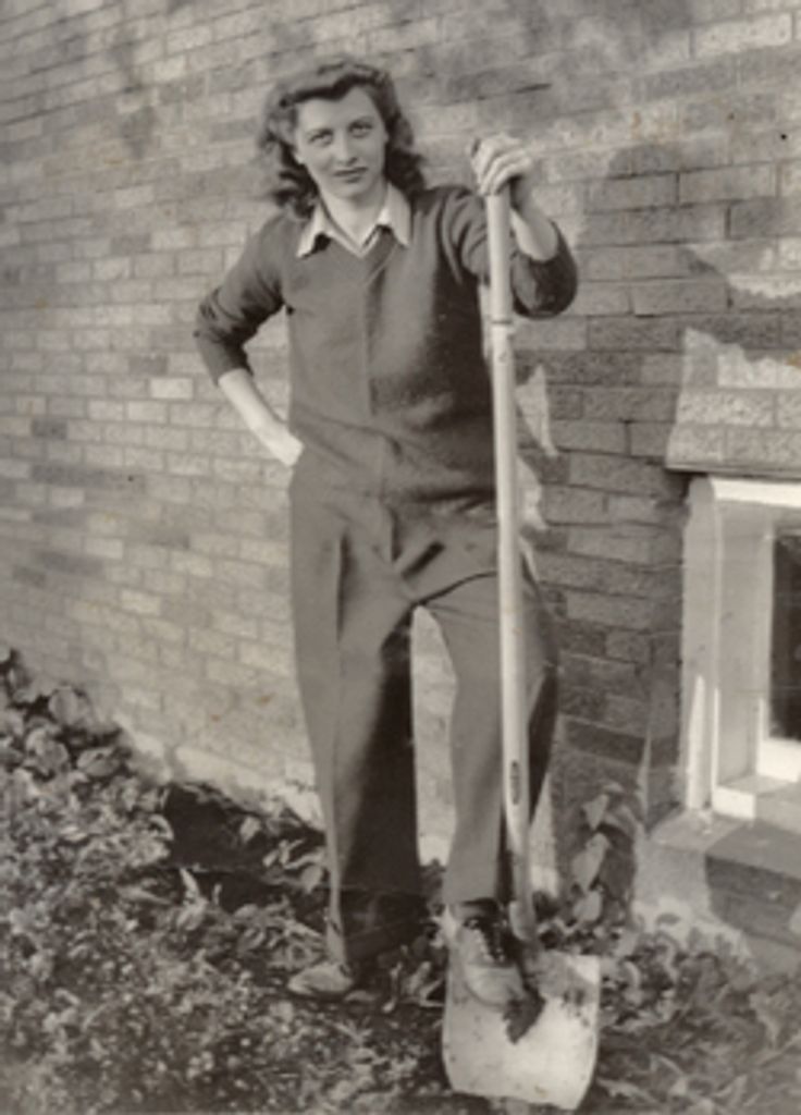 Julie Wall