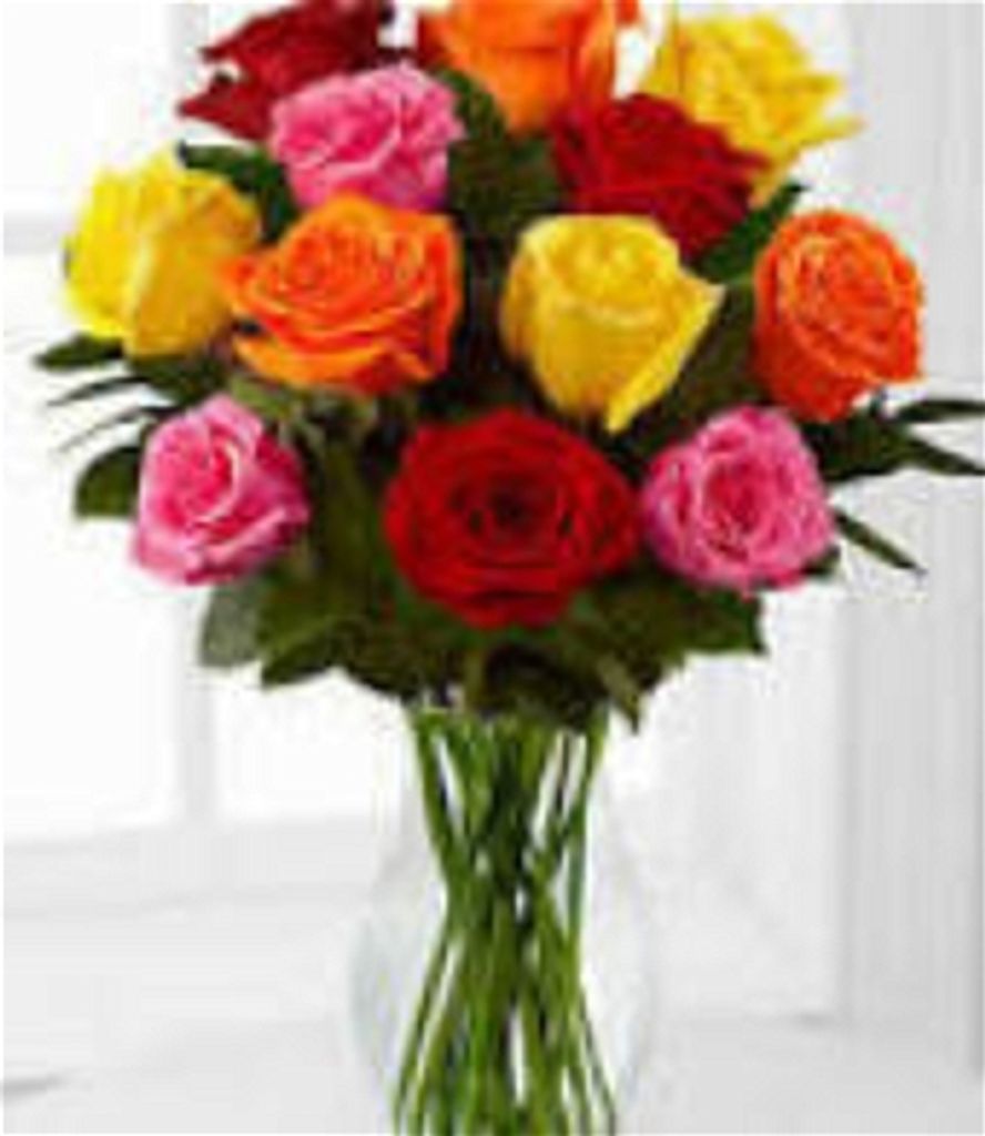 Donna Johnson Profile Photo