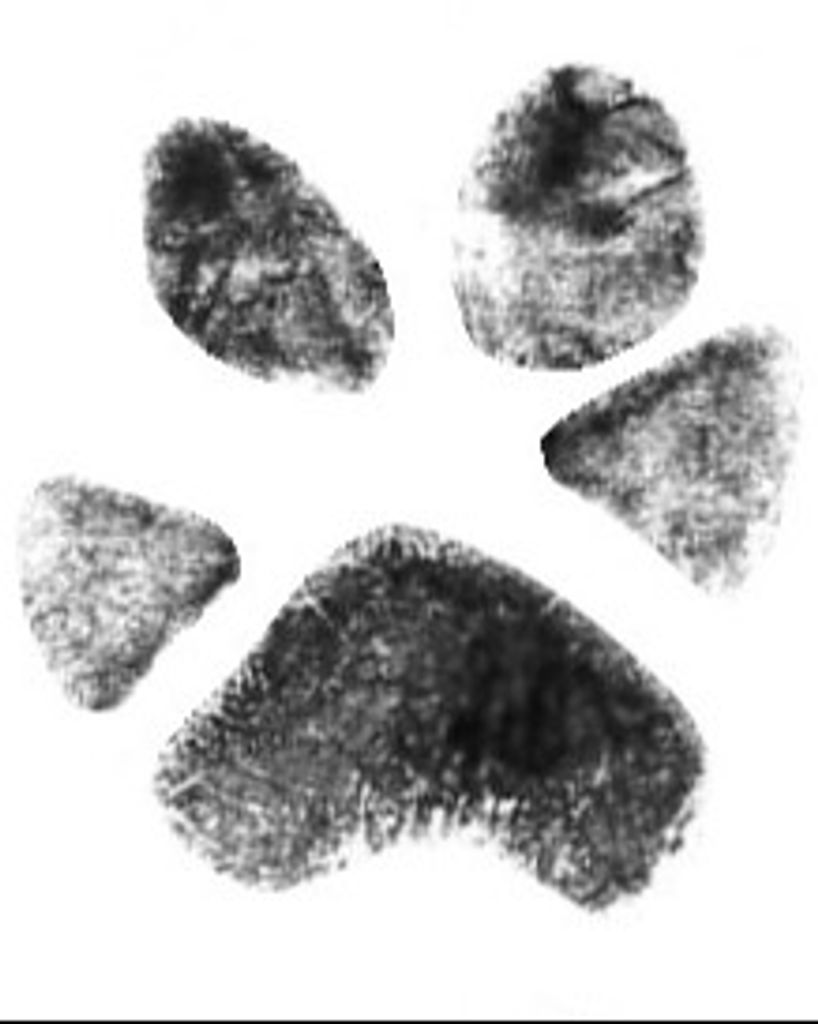 Scooter Barbour Profile Photo