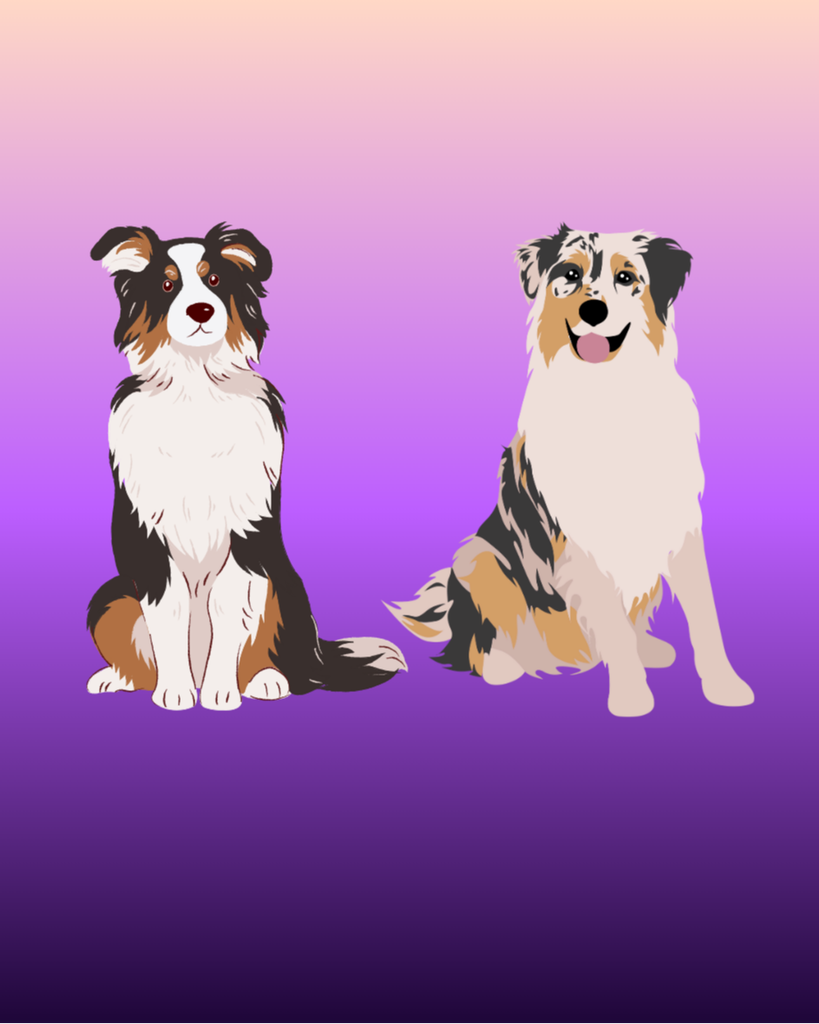 Remmy Romer Profile Photo