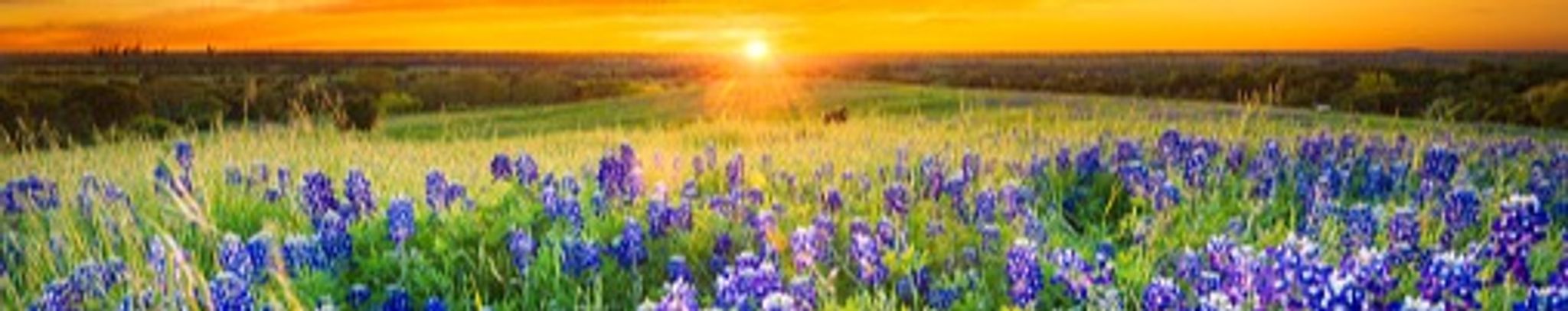 Cover photo for Yolanda V. Aldaco's Obituary