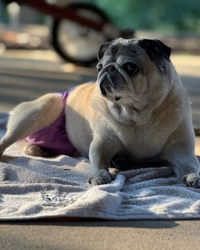 Izzy Irlam Profile Photo