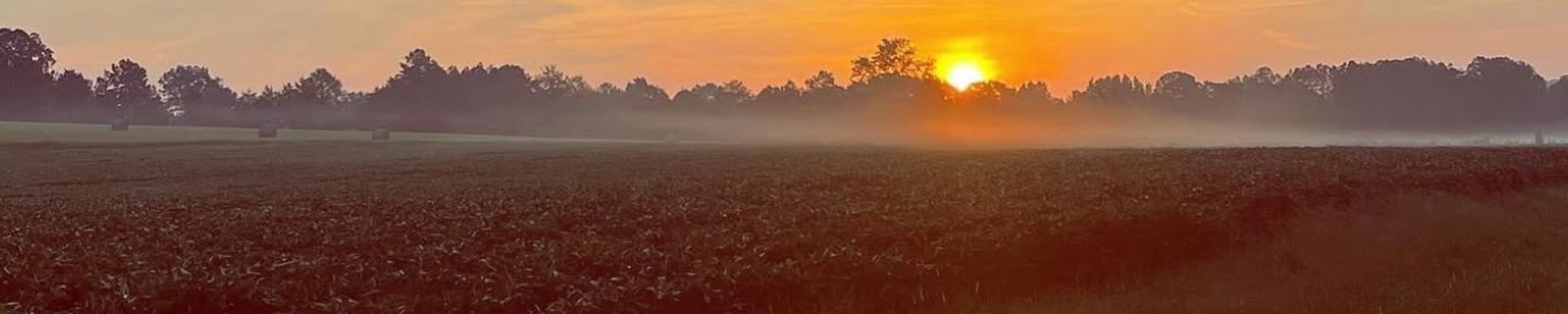 Cover for Barbara Kay Musselwhite's Obituary