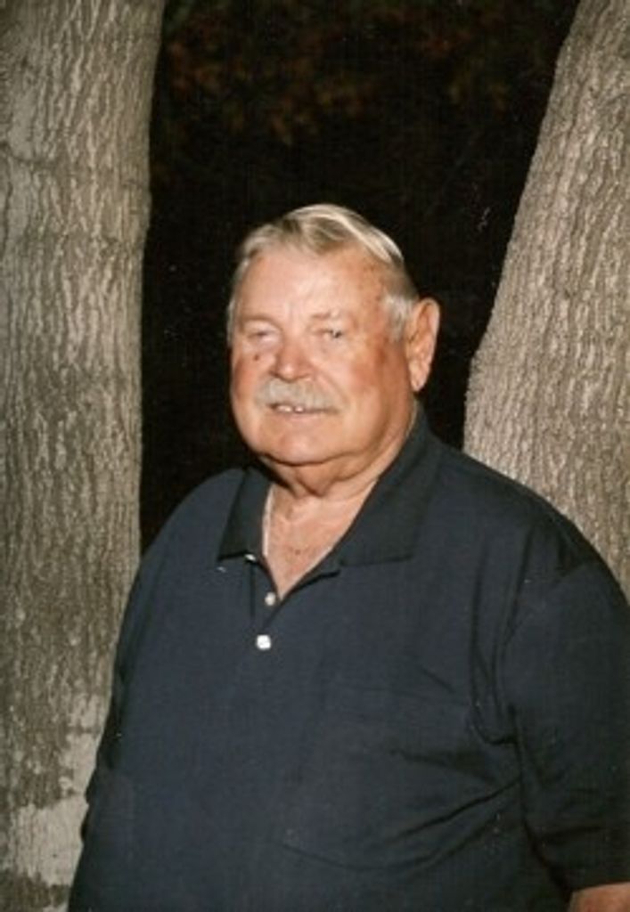 Harry Jeune