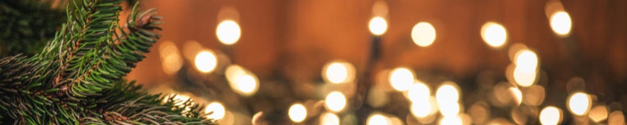 Cover photo for Linda Lou Gooch's Obituary