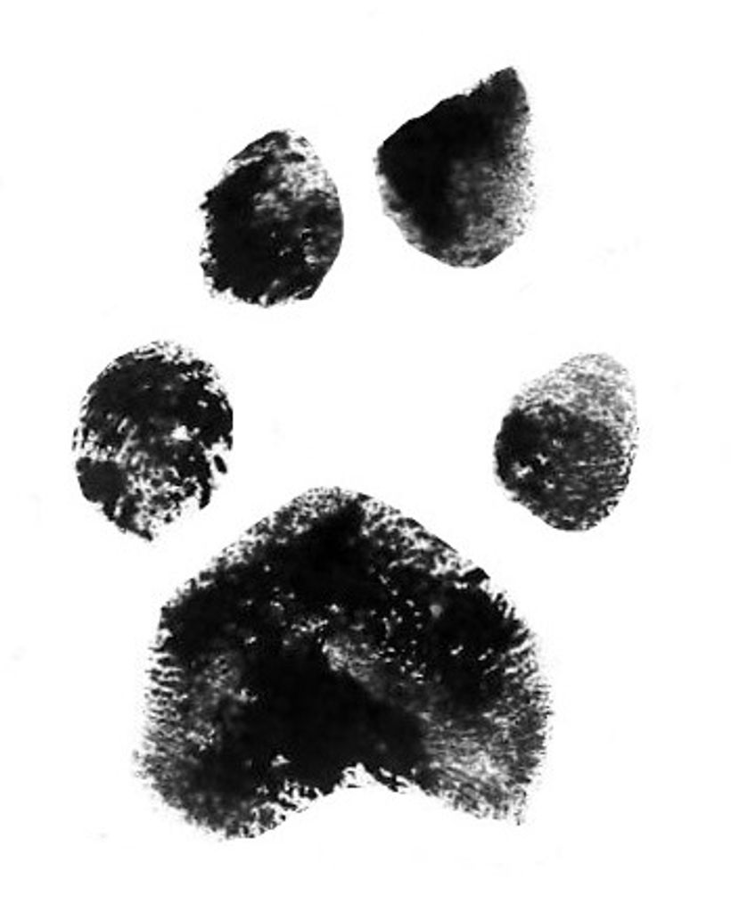 Molly Annas Profile Photo