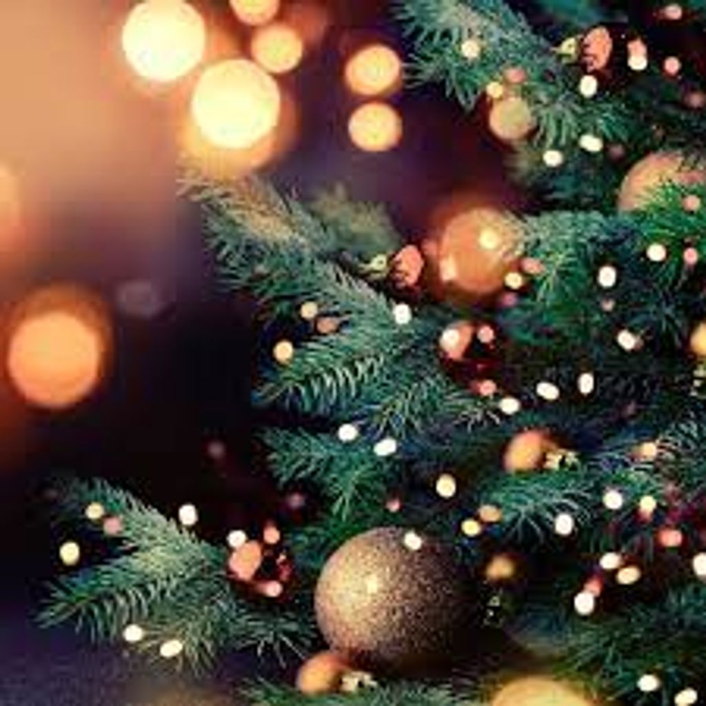 Constance A. Stonecipher Profile Photo