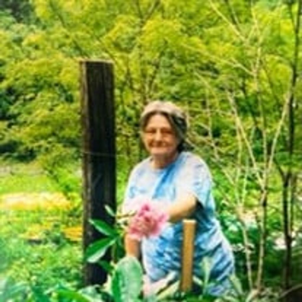 Lorine Lane