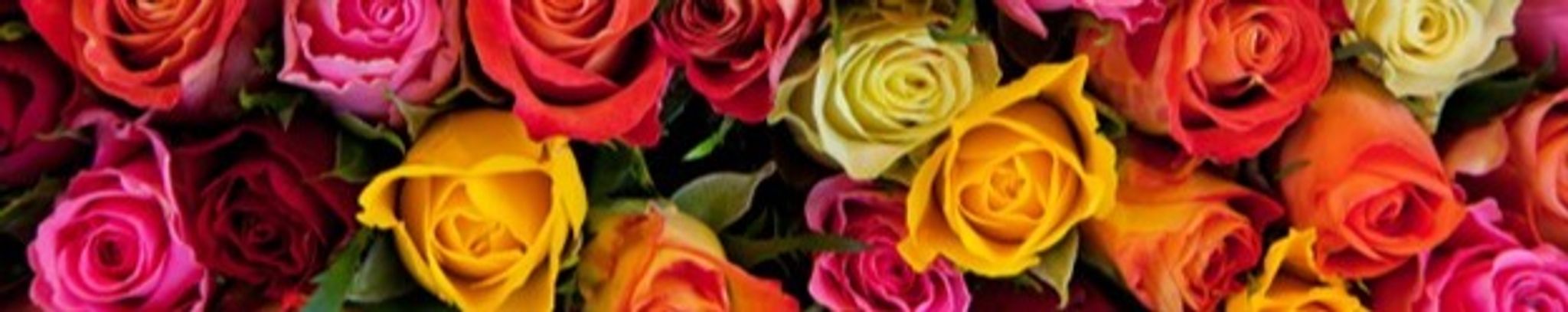 Cover photo for Clyta Ruth Jenkins's Obituary