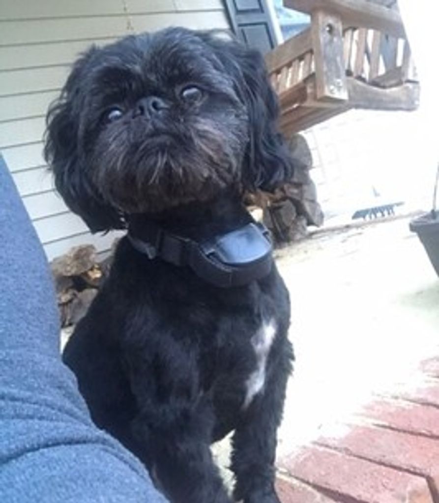 Sebastian Roane Profile Photo