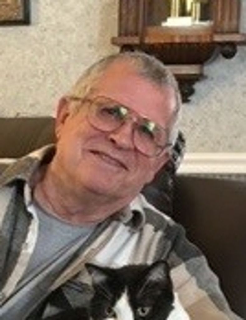 Albert Stewart Profile Photo