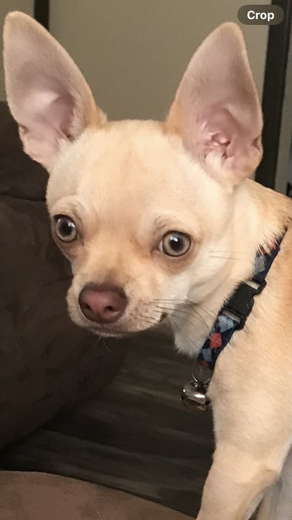 Paco Profile Photo
