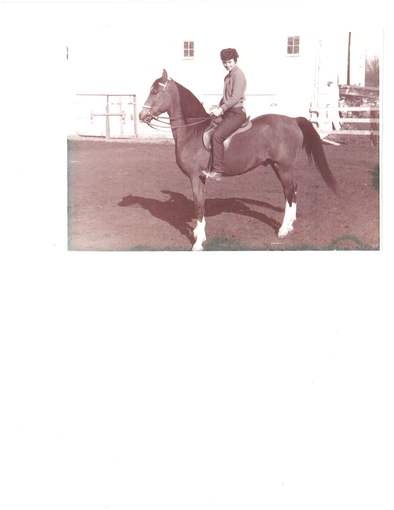 Susan Ellen Archerd Profile Photo