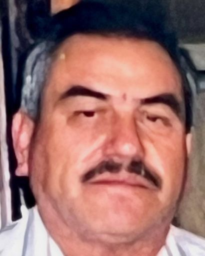 Noel Rocha Profile Photo