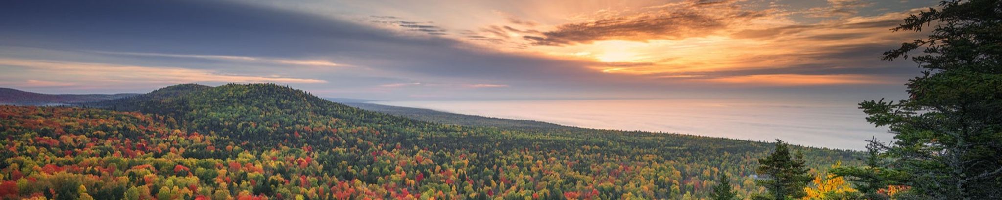 Cover for Beverly C. Petrovic's Obituary