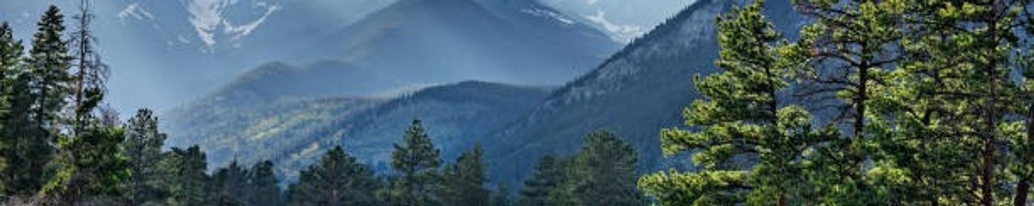 Cover for Thomas Frank Johnson's Obituary