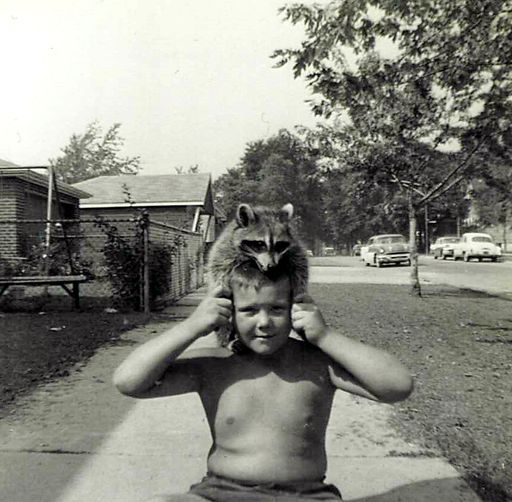 Thomas Thompson photo gallery thumbnail 12 of 86