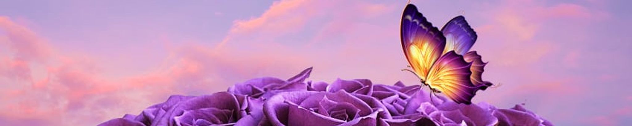 Cover photo for Charlene A. Valente's Obituary