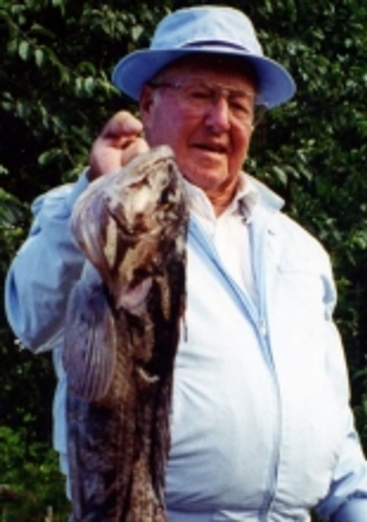 Howard V. Lee