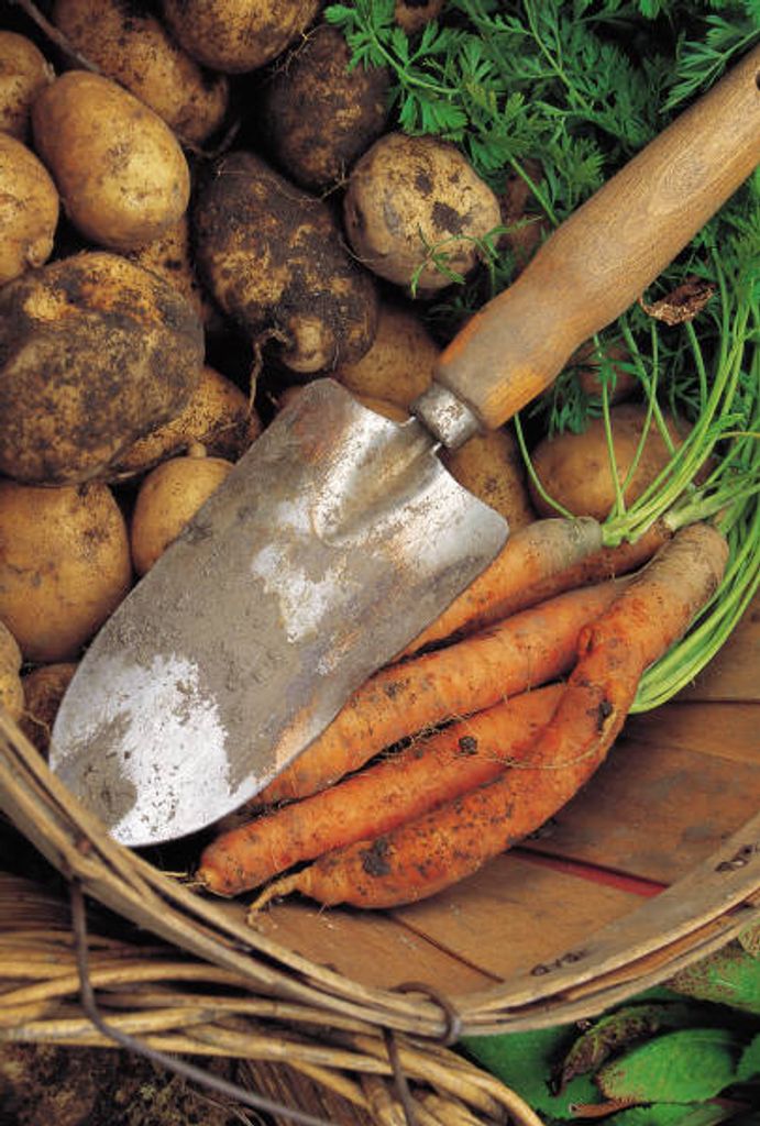 Charles Douglas Underwood Profile Photo