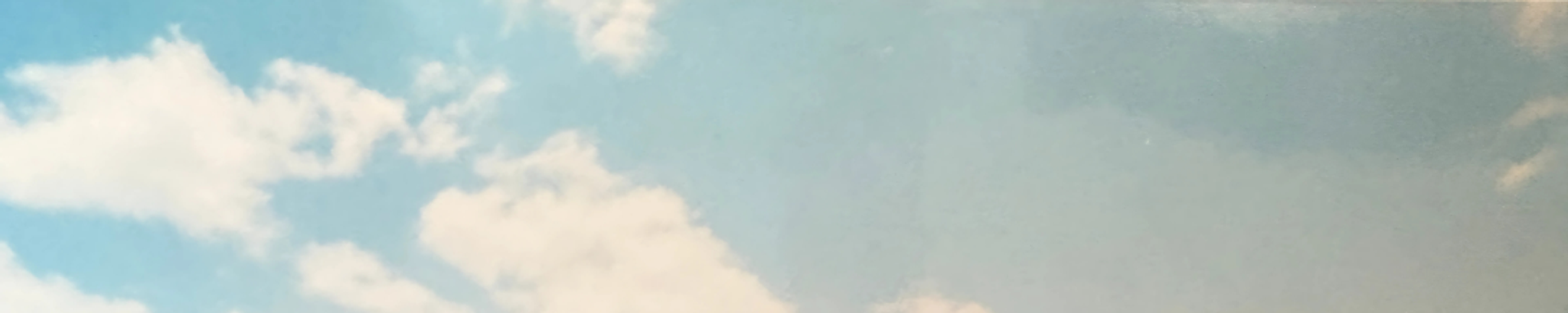 Cover photo for Linda Carmen Alarcon's Obituary