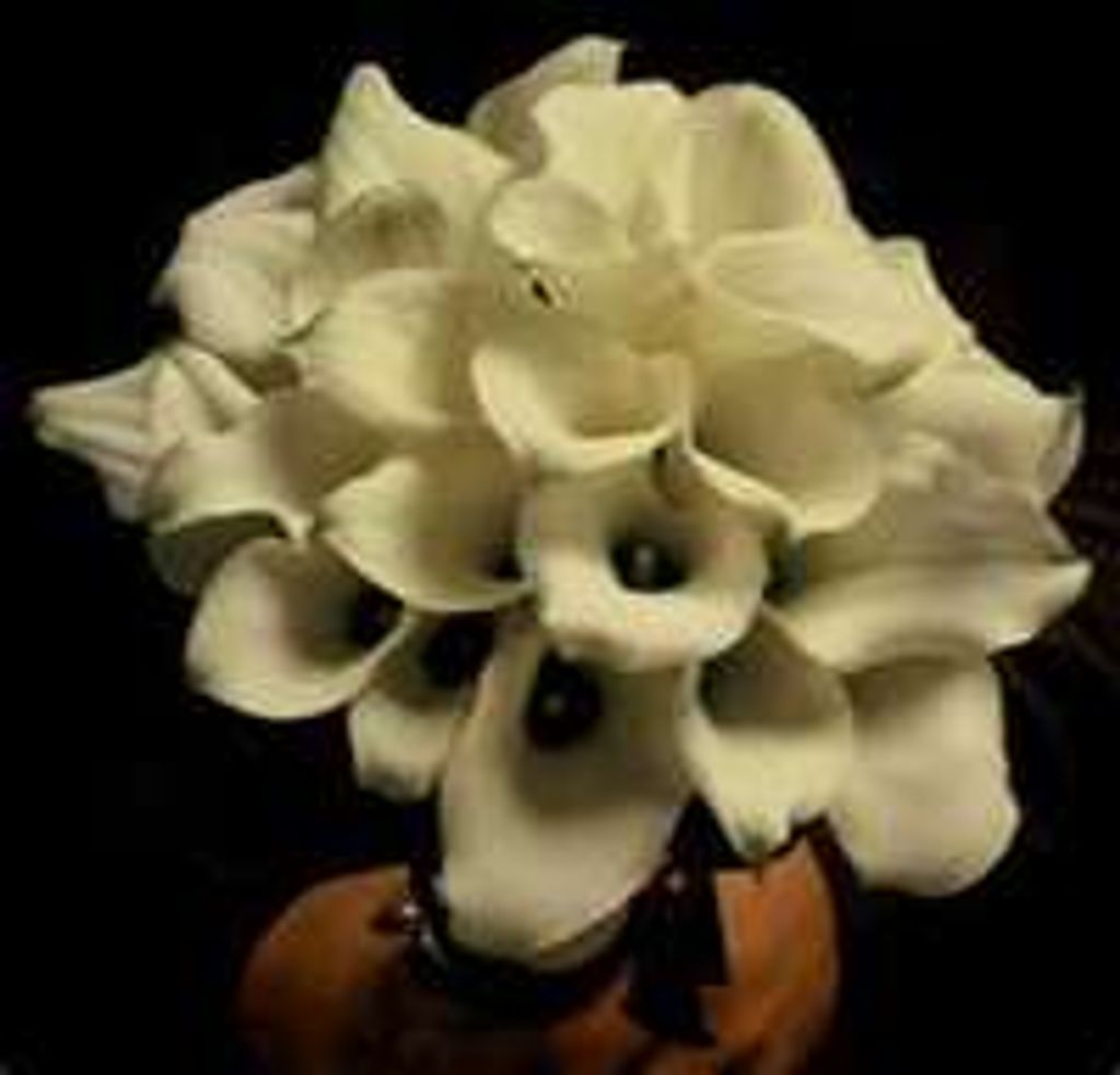 Gertrude Haygood