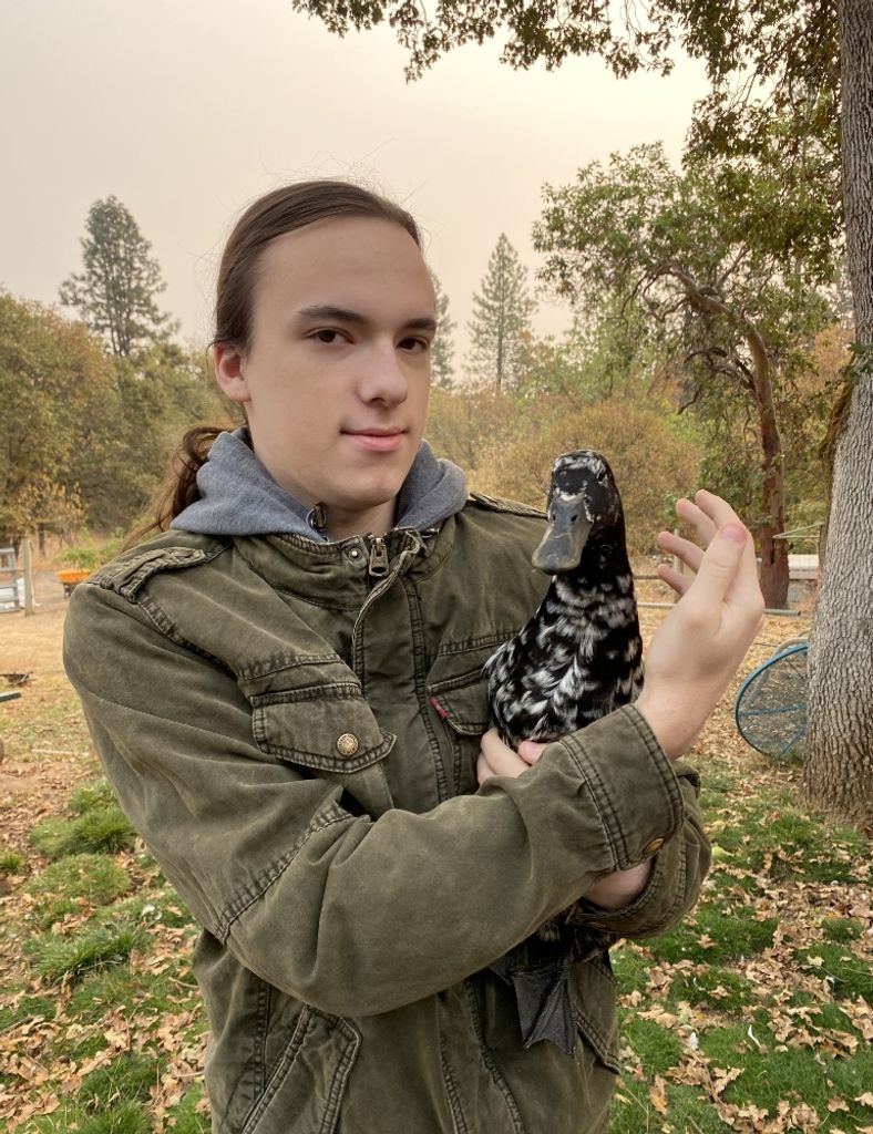 Korbyn Rain Reagen-Walls Profile Photo