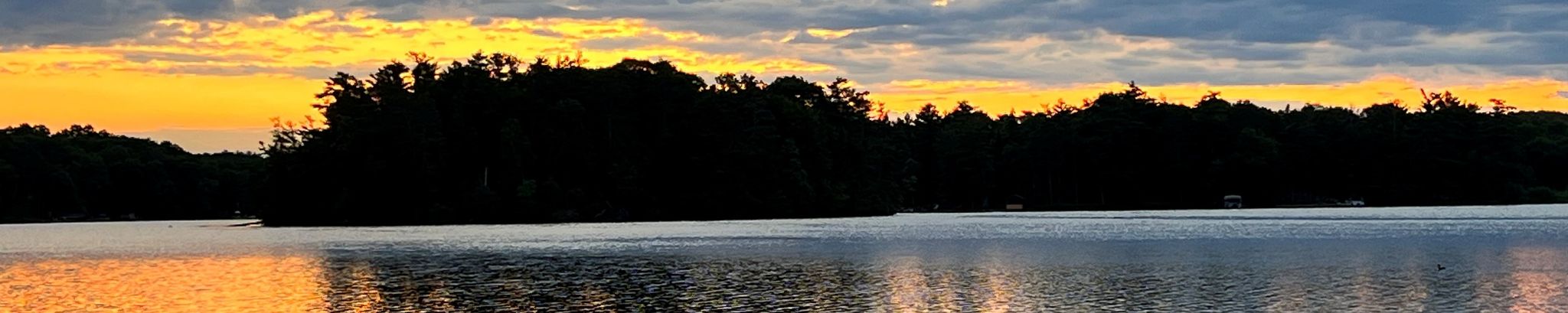 Cover for Charles Schlotthauer's Obituary