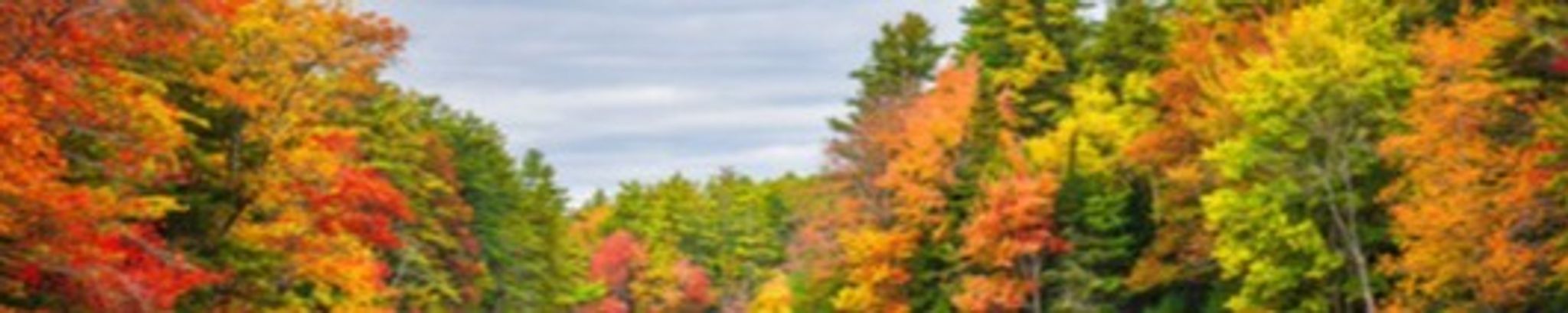 Cover photo for Rodney Bowden's Obituary