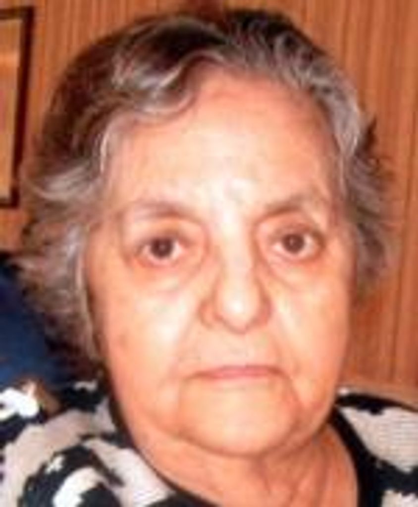 Maria P. Amaral