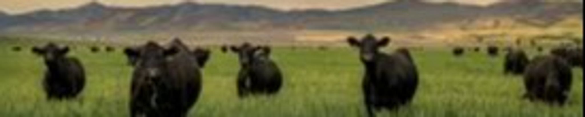 Cover photo for William R (Bill) Jasperson's Obituary