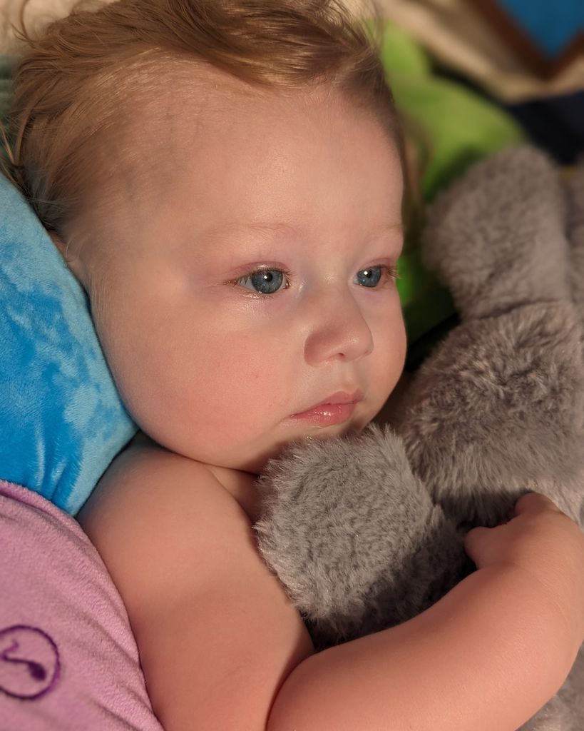 Wesley Bennett Holland