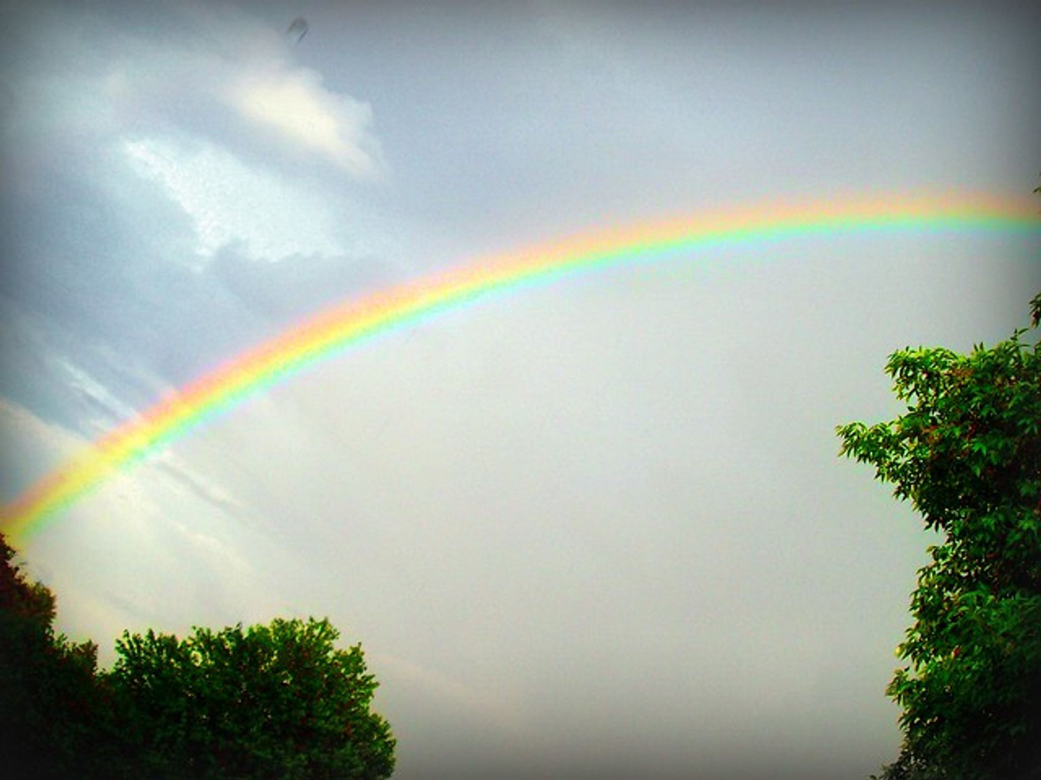 Cover photo for Jane Tyler's Obituary