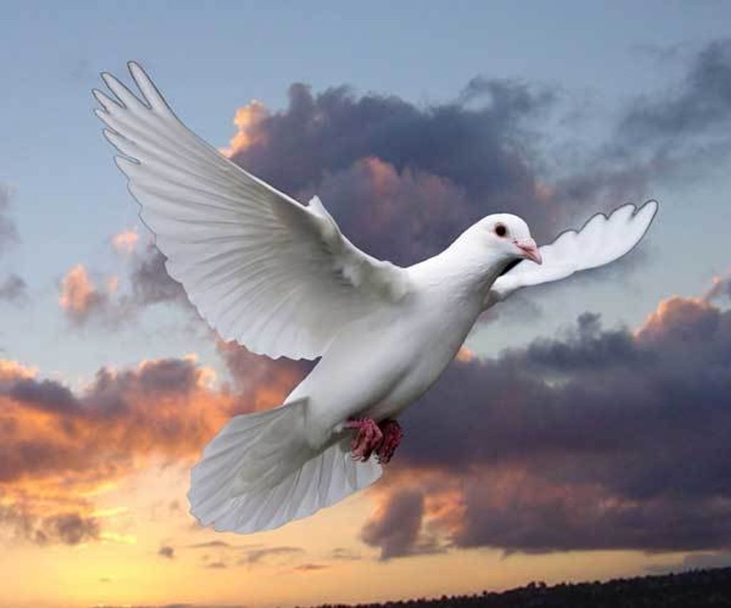 Lucille M. Mitchell Profile Photo