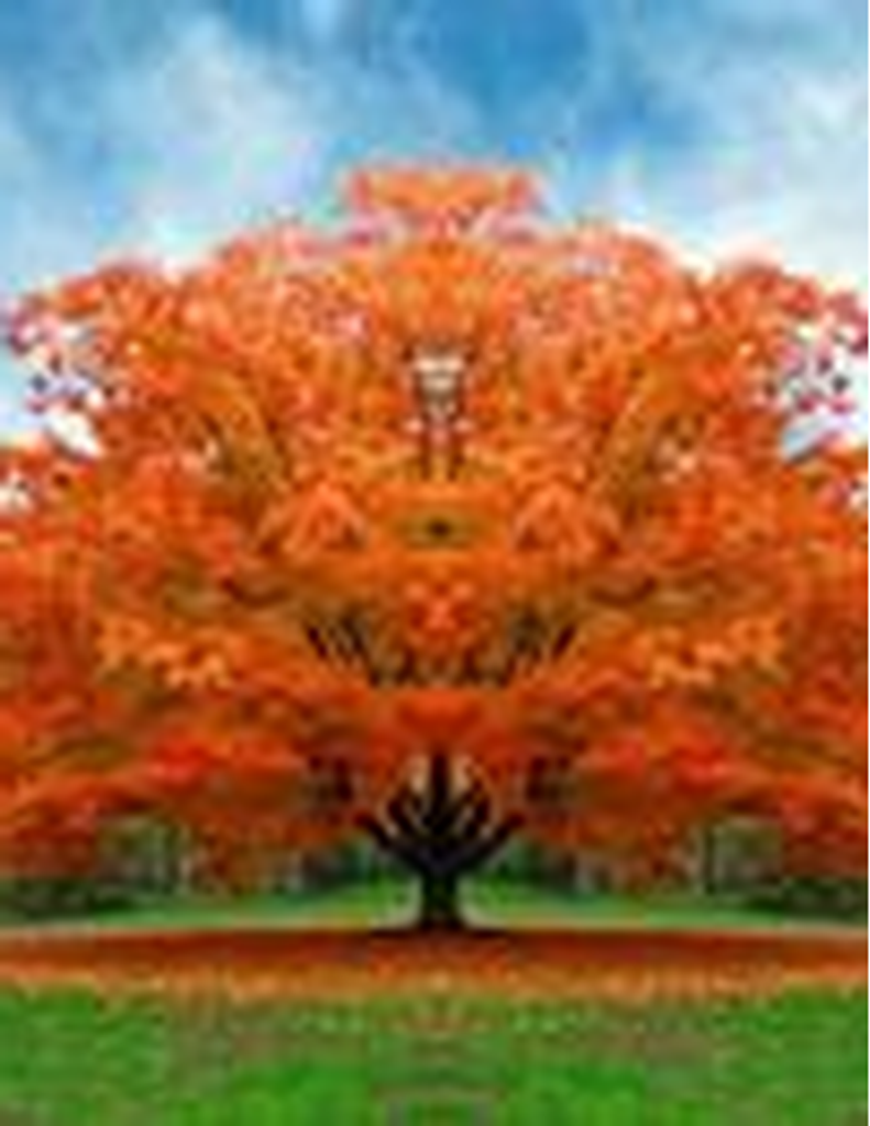 Jeffrey Worth Wilburn