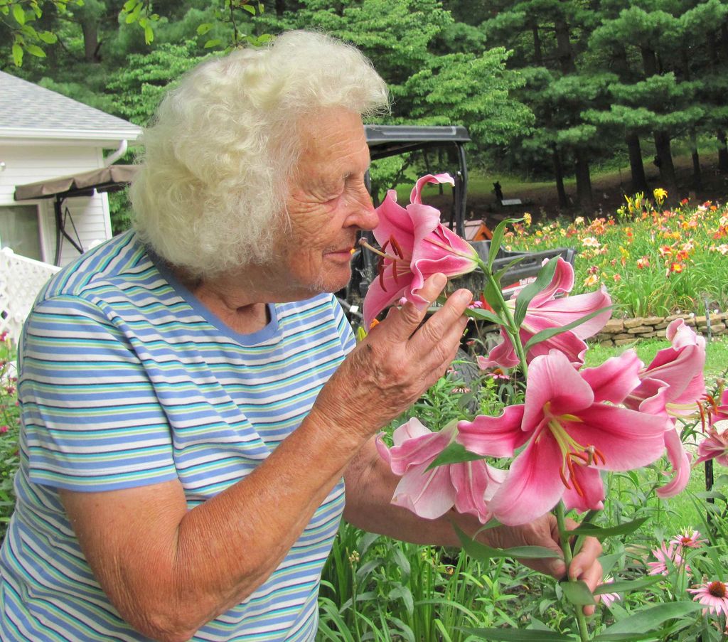 Dorothy Vivian Gill Profile Photo