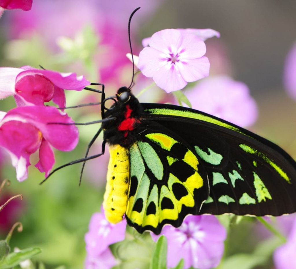 Mary Celeste Oder Profile Photo