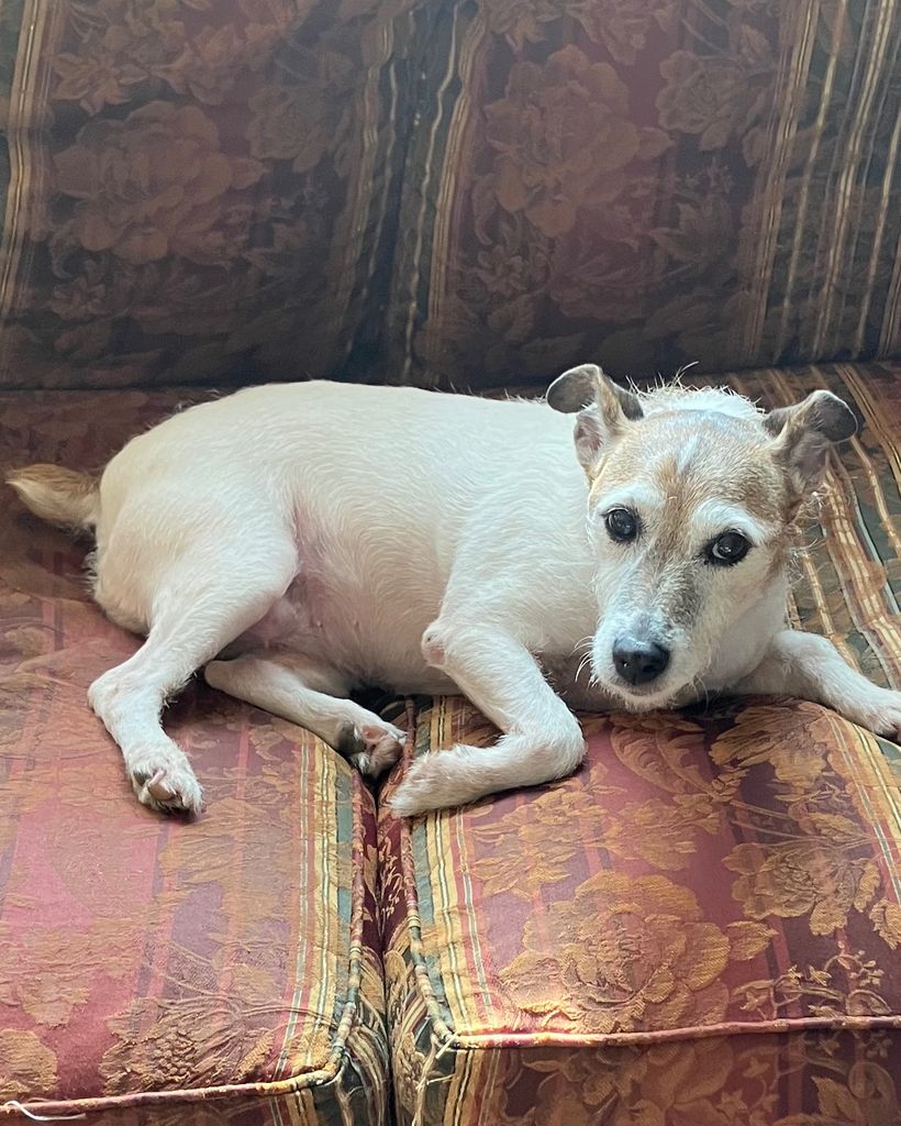 Bella Profile Photo