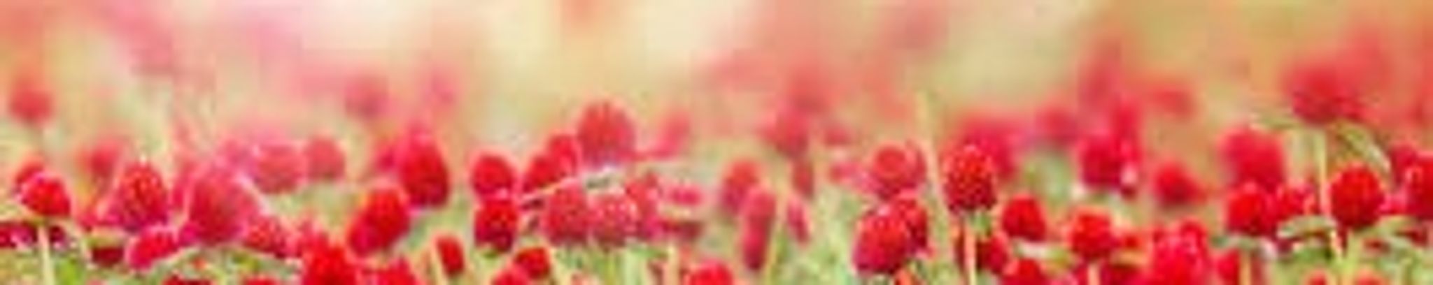 Cover photo for Marina Valdez Martinez's Obituary